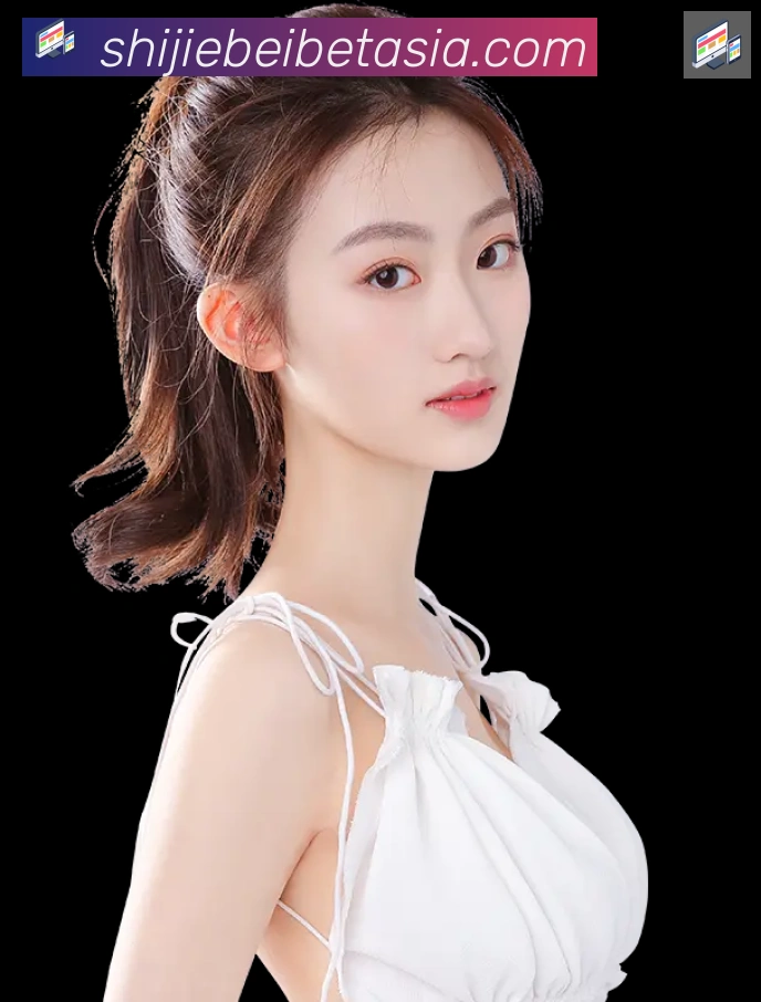 美加墨世界杯下注入口服务体系